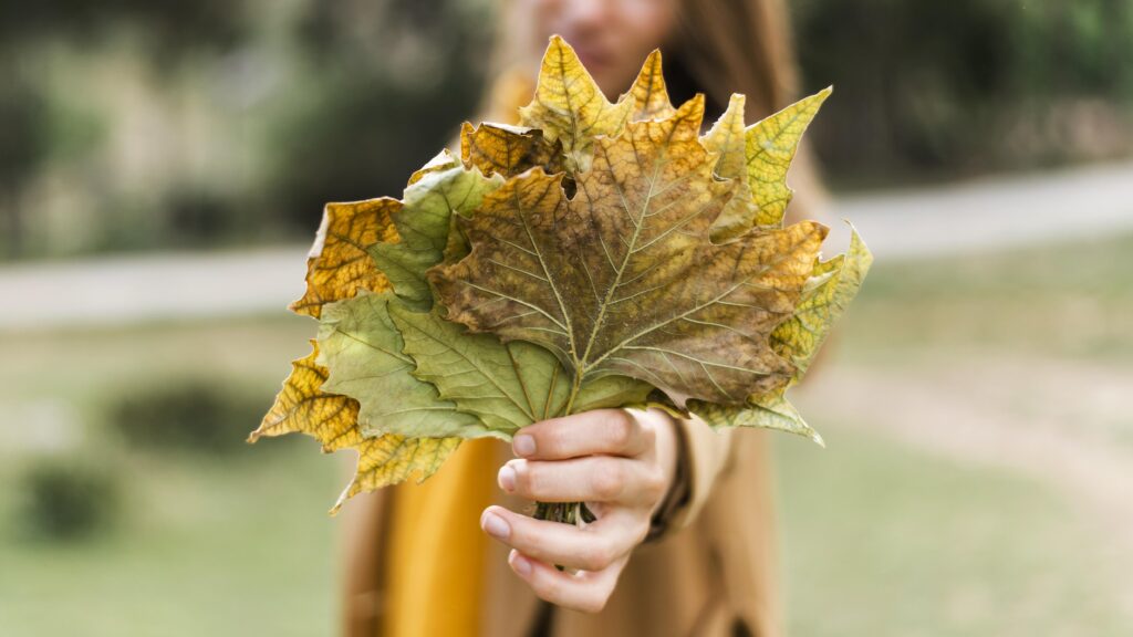front view woman holding bunch leaves